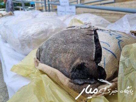 کشف بیش از ۷۰۰ کیلوگرم مواد افیونی در سیستان و بلوچستان