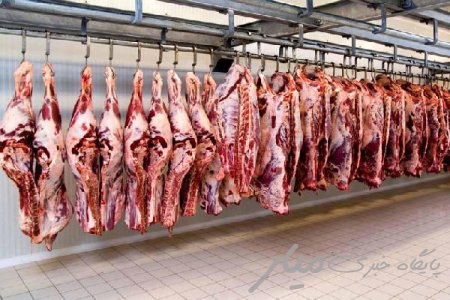فرصت تازه سرمایه گذاری برای تولید گوشت قرمز در سیستان و بلوچستان