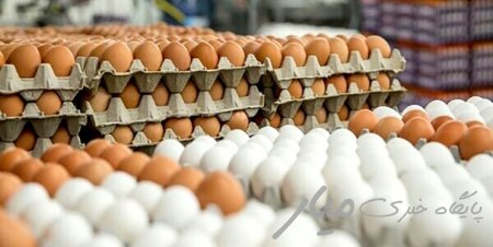 ۱۳۴۹ تن تخم مرغ در سیستان و بلوچستان تولید شده است