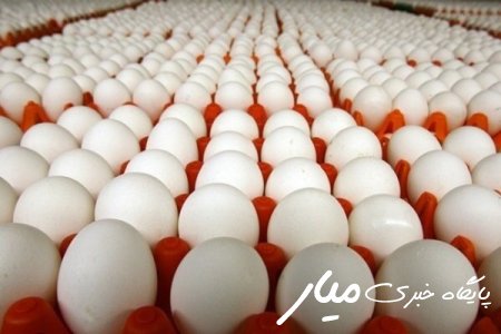 ظرفیت تولید تخم مرغ در سیستان و بلوچستان به بیش از ۱۱ هزار تن رسید