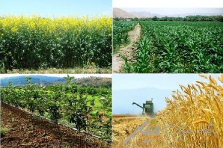 بهره‌برداری از ۲۴۸ پروژه کشاورزی سیستان و بلوچستان
