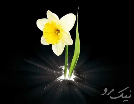 یلدای انتظار